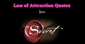 law of attraction quotes from the secret