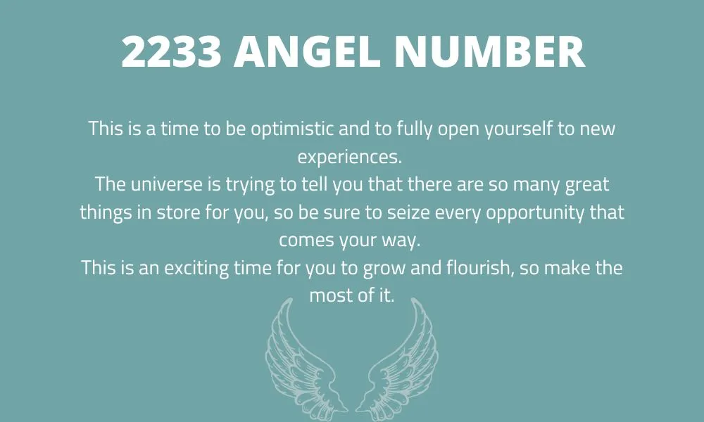 2233 Angel Number Meaning