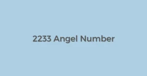 2233 Angel Number