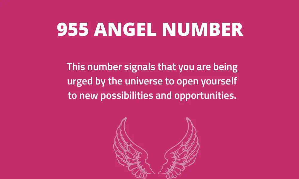 955 Angel Number meaning