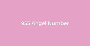 955 Angel Number
